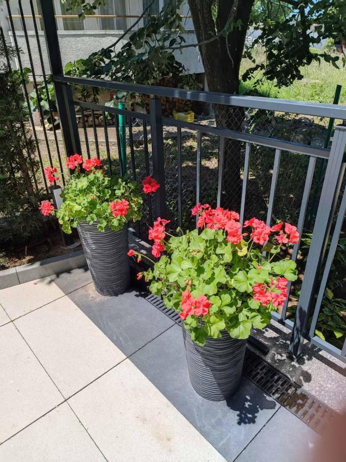 Apartament Kali Ahtopol Exterior photo